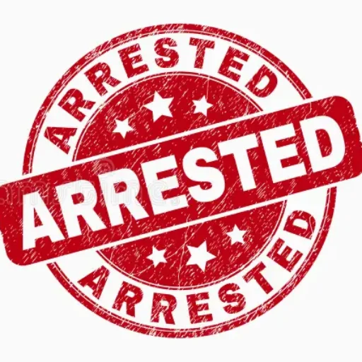 arrests.org michigan